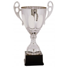 Silver Metal Cup Trophy